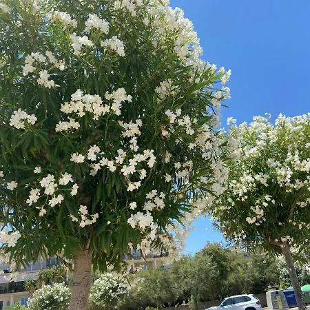 Mira Montgo Las Marinas * Dénia
